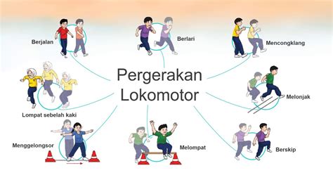 lokomotor|gerakan lokomotor.